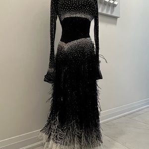 Stunning smooth ballroom gown. Feathers and rhinestones on mesh skirt